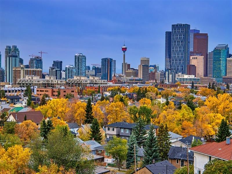 Why Beltline Calgary is the Perfect Place for Your Next Single-Family Home?
